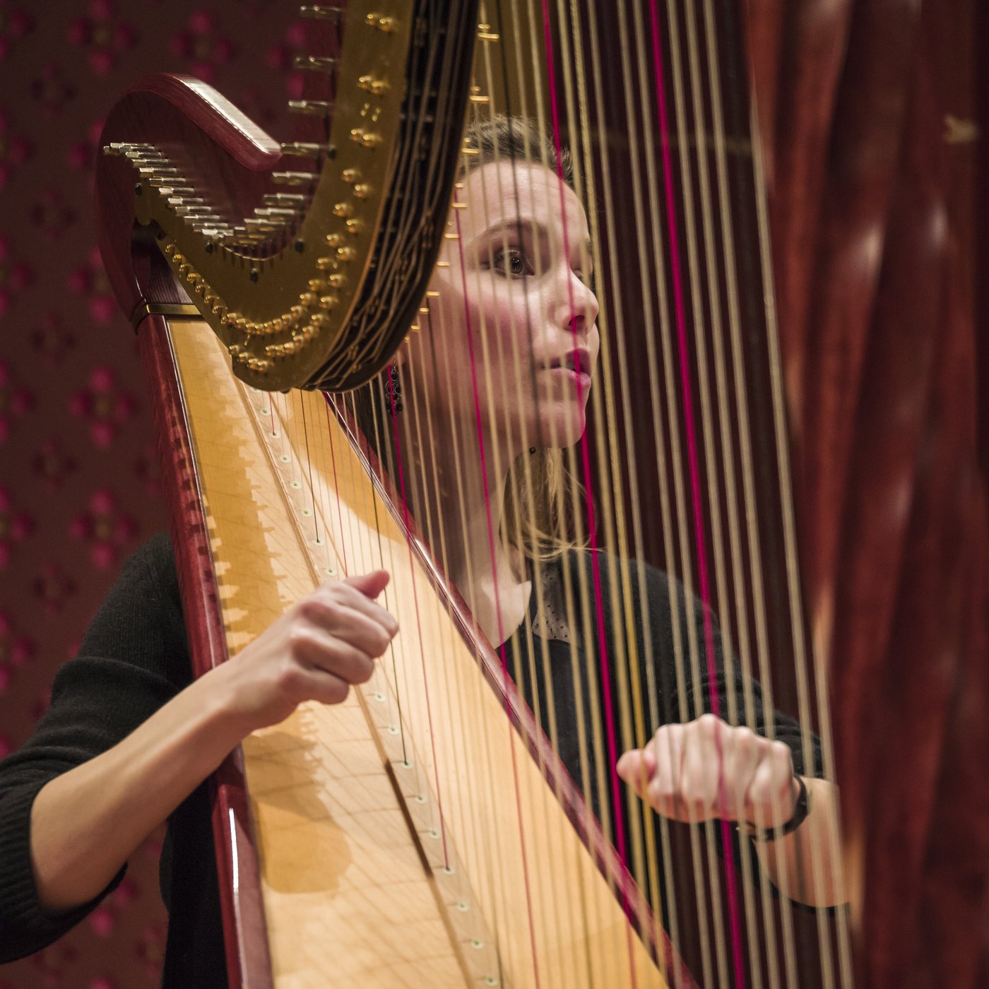Concerts symphoniques — mars 2020 — photo 12